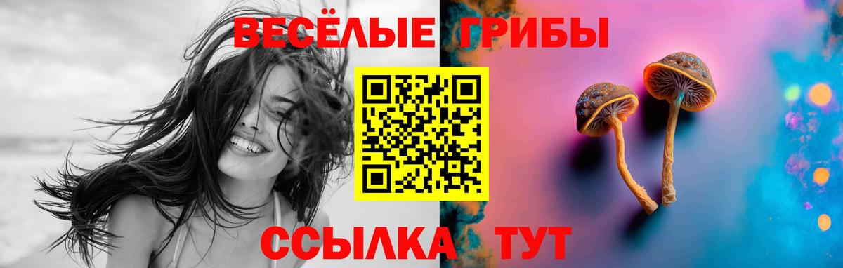 Кингисепп  Галлюциногенные грибы мухоморы  как найти наркотики  Вход с VPN 